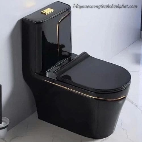 Bồn Cầu Liền Khối Bệt Nghệ Thuật Cao Cấp