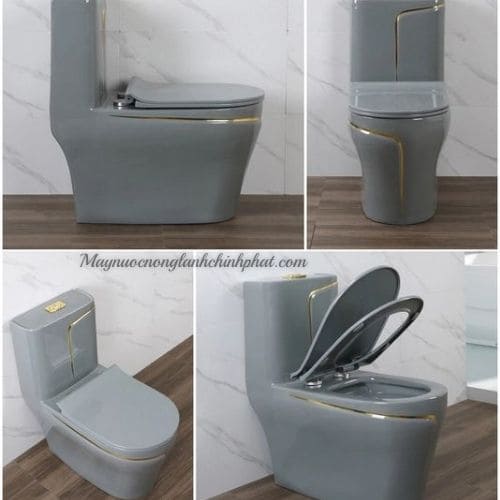 Bồn Cầu Liền Khối Bệt Nghệ Thuật Cao Cấp